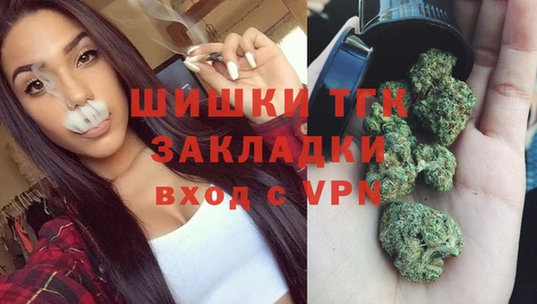 хмурый Богородск